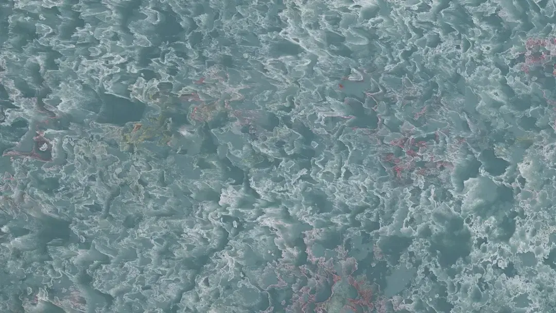 CS OCEAN FLOWER
